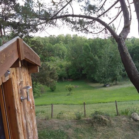 La Cabane En Bois Villemur-sur-Tarn Екстер'єр фото