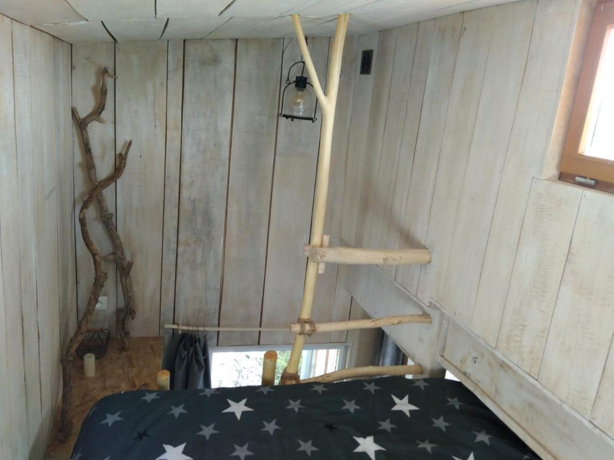 La Cabane En Bois Villemur-sur-Tarn Екстер'єр фото