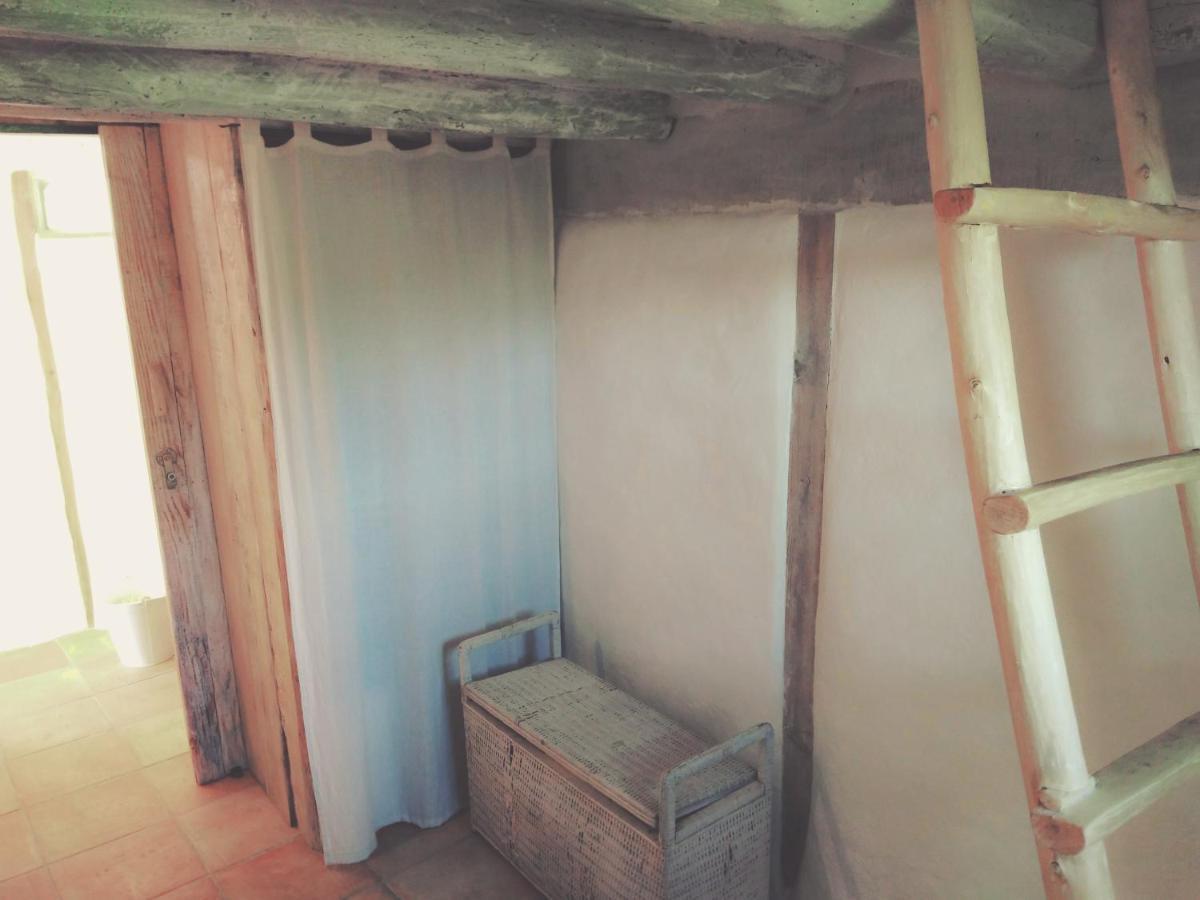 La Cabane En Bois Villemur-sur-Tarn Екстер'єр фото