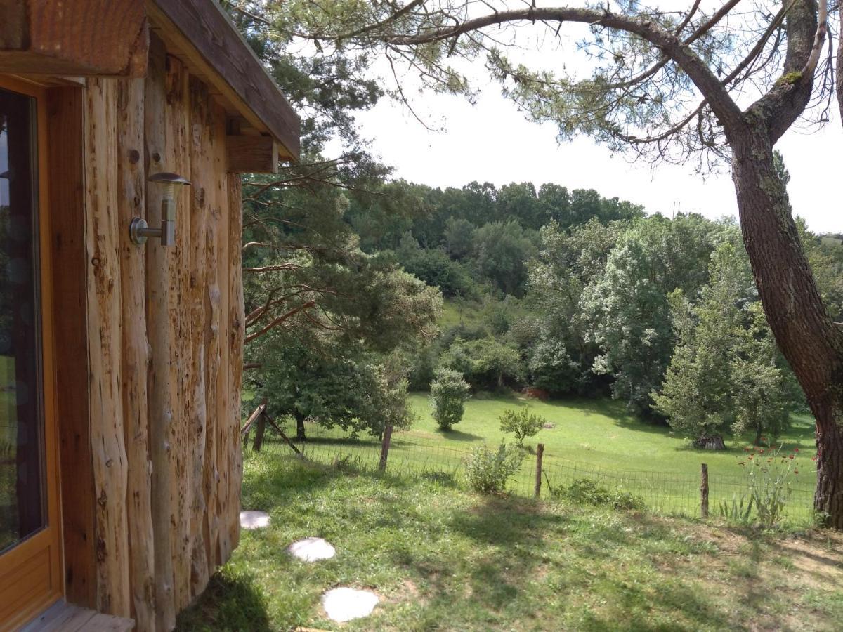 La Cabane En Bois Villemur-sur-Tarn Екстер'єр фото